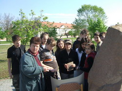 Madarak �s F�k Napja