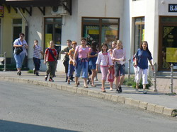 V�rost�rt�neti vet�lked�
