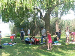 Balatonsz�rsz�i t�bor