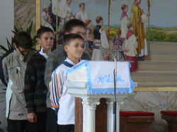 Okt�beri r�zsaf�z�r
