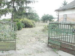 Sarud