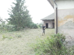 Sarud