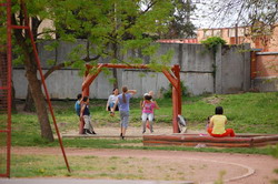 M�jusfa �ll�t�s