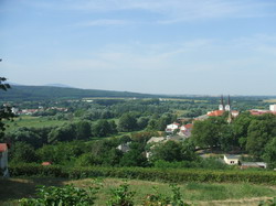 Tesmag