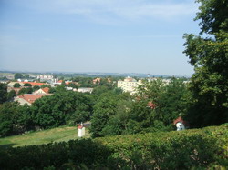 Tesmag