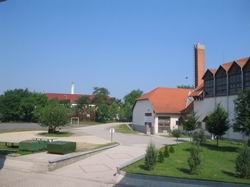 Iskola udvara